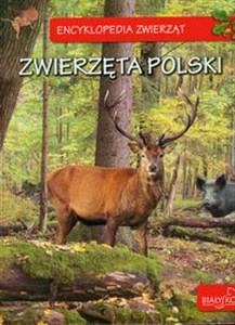 Picture of Encyklopedia zwierząt Zwierzęta Polski