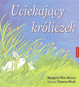 Obrazek Uciekający króliczek