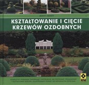 Kształtowa... - Jenny Hendy -  foreign books in polish 