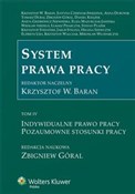 System pra... -  foreign books in polish 