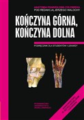 Anatomia P... - Jerzy Walocha (red.) - Ksiegarnia w UK