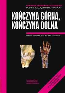 Picture of Anatomia Prawidłowa Człowieka Kończyna górna, Kończyna dolna Podręcznik dla studentów i lekarzy