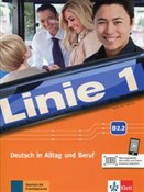 polish book : Linie 1 B2...
