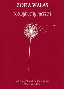 Picture of Niewybuchy marzeń