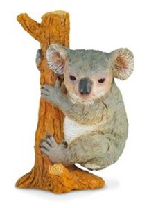 Picture of Miś koala wspinający się M