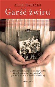 Obrazek Garść żwiru