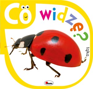 Picture of Co widzę Łąka