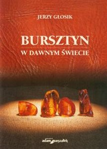 Picture of Bursztyn w dawnym świecie