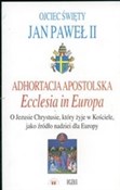 Adhortacja... - Jan Paweł II -  Książka z wysyłką do UK