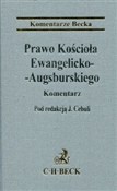 polish book : Prawo Kośc... - Jakub Cebula, Dawid Binemann-Zdanowicz, Michał Hucał