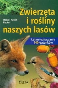 Obrazek Zwierzęta i rośliny naszych lasów