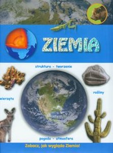 Picture of Ziemia