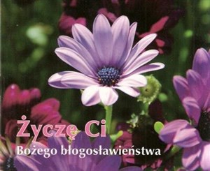 Picture of Perełka 215 - Życzę Ci Bożego błogosławieństwa.