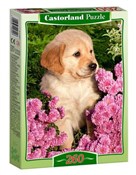 Polska książka : 260x PUZZL...