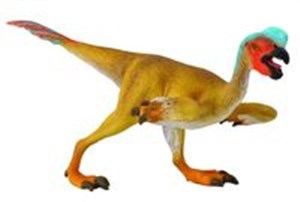 Picture of Dinozaur Owiraptor M