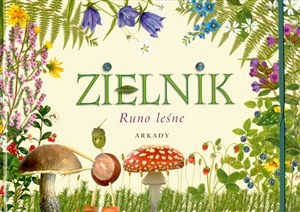 Picture of Zielnik Runo leśne