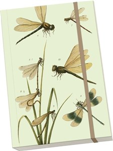 Picture of Notatnik ozdobny A5 STNOTE 98 Ważki