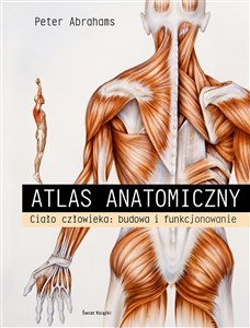 Obrazek Atlas anatomiczny. Ciało człowieka: budowa i funkcjonowanie