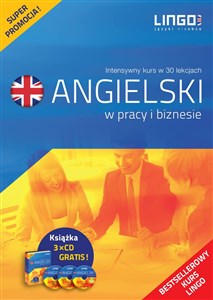 Picture of Angielski w pracy i biznesie Intensywny kurs języka angielskiego w 30 lekcjach
