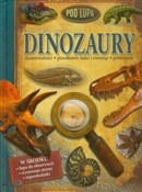 polish book : Dinozaury ...