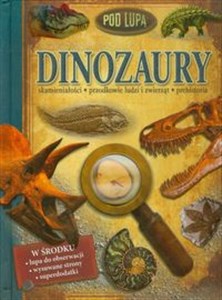 Obrazek Dinozaury Pod lupą skamieniałości, przodkowie ludzi i zwierząt, prehistoria