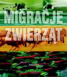 Picture of Migracje zwierząt