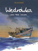 polish book : Wędrówka p... - Alessandra Joel