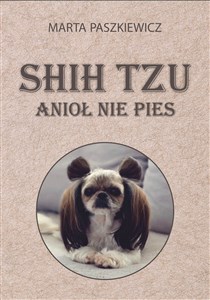 Picture of Shih tzu anioł nie pies