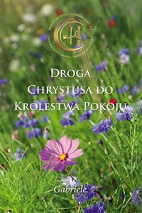 Obrazek Droga Chrystusa do Królestwa Pokoju