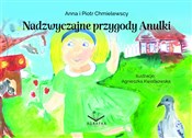 Polska książka : Nadzwyczaj... - Anna Chmielewska, Piotr Chmielewski