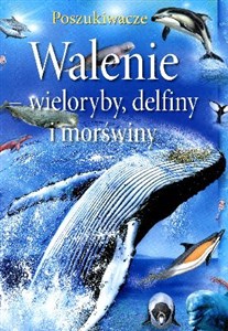 Picture of Walenie wieloryby, delfiny i morświny