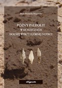 Późny pale... - Beata Bielińska-Majewska -  books from Poland