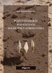 Picture of Późny paleolit w dorzeczach Dolnej Wisły i Górnej Noteci