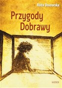 polish book : Przygody D... - Różą Ossowska