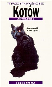 Obrazek Trzynaście kotów Antologia