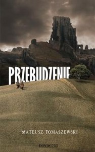 Picture of Przebudzenie