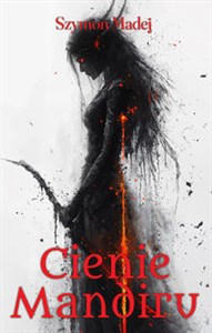 Picture of Cienie Mandiru