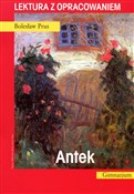 Antek. Lek... - Bolesław Prus -  books from Poland