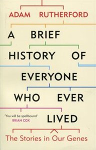 Obrazek A Brief History of Everyone