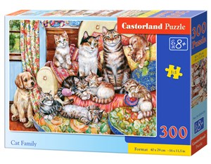 Picture of PuzzleCat family 300