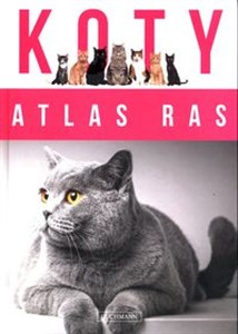 Picture of Koty Atlas ras