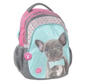 Zobacz : Plecak Stu...