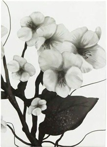 Picture of Notes A6/80K