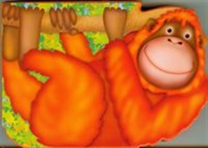 Picture of Orangutan