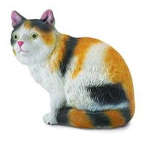 Obrazek Kot domowy siedzący trzy-kolorowy S