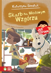 Picture of Już czytam Skarb na Miodowym Wzgórzu