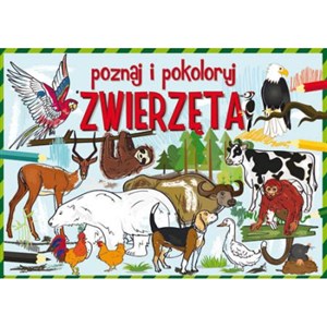 Obrazek Poznaj i pokoloruj zwierzęta