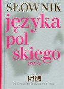 Słownik ję... -  books in polish 