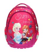 Plecak erg... -  books in polish 