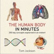 The Human ... - Tom Jackson -  foreign books in polish 